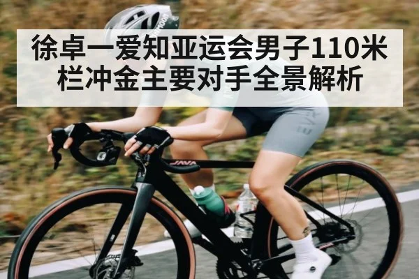 徐卓一爱知亚运会男子110米栏冲金主要对手全景解析